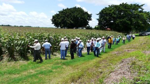 La réforme des métiers vue par les agronomes et forestiers : conférence à Capoue