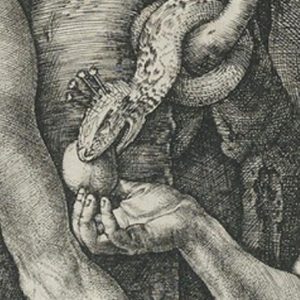 Albrecht Dürer, all’asta per Christie’s 61 capolavori da una collezione privata