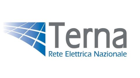 Terna: 2012'de rekor yatırımlar, gelirler +%10