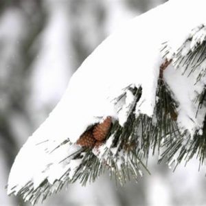 Meteo: la neve al Nord, ma niente emergenza