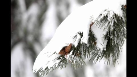 天气：北方有雪，但没有紧急情况