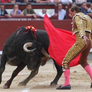 Corrida, è guerra tra Madrid e Barcellona