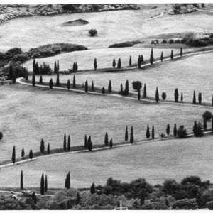 Venedig, internationale Vorschau in Schwarzweiß von Berengo Gardin