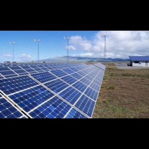 Observator pentru energii regenerabile: Europa pierde liderul în domeniul fotovoltaic