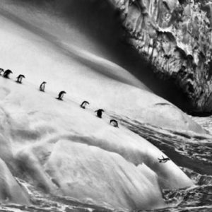 Roma, Ara Pacis'te Brezilyalı fotoğrafçı Sebastião Salgado'nun 200 fotoğrafı