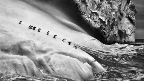 Rome, at the Ara Pacis 200 images by the Brazilian photographer Sebastião Salgado