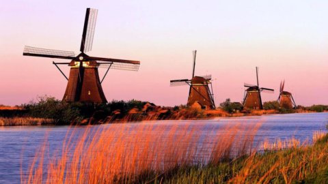荷兰陷入危机，失业率在六年内翻了一番
