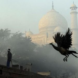 India, potrivit economistului Chakravarty, decalajul distruge creșterea și piețele nu mai au încredere în el