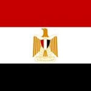 SACE – Egitto: l’importante è collaborare