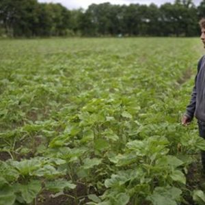 Coldiretti, 1.500 agricoltori al Brennero per difendere il made in Italy