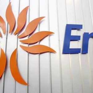 Bursa, Enel functioneaza pe un maxi-depozit de la Endesa