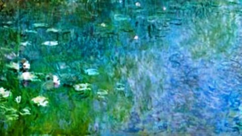 Pavia, Monet occasione da vedere per grandi e piccini durante le festività di Natale