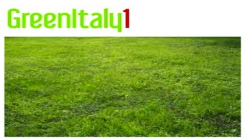 Unioncamere ، Greenitaly: الاقتصاد الإيطالي يتحول إلى اللون الأخضر