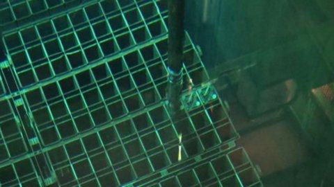 La mafia giapponese recluta i senza tetto per ripulire Fukushima