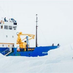 Nach der Rettung des Eisbrechers müssen weitere Bäume gepflanzt werden