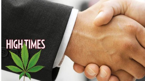 Usa, private equity alla conquista della cannabis