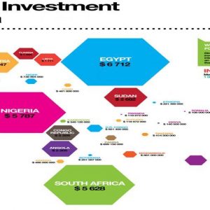 अफ्रीका में निवेश: चीन के बाद, यहाँ जापान है