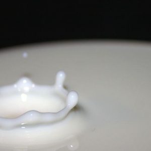 Quote latte: Ue rigetta ricorso Italia, taglio fondi per 71 milioni