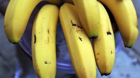 کیلے کا نیا دیو پیدا ہوا: Chiquita اور Fyffes کے درمیان انضمام