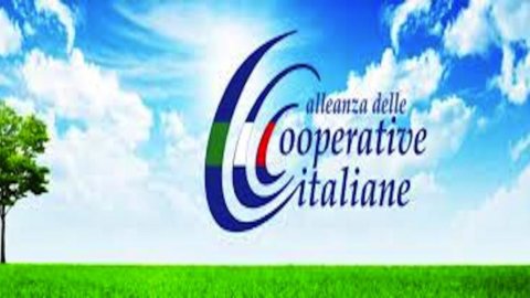 Cooperative: più della metà delle più grandi risiede nel Nord Est