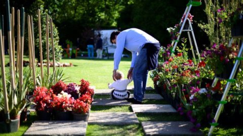 Monza, Villa Reale hosts an exhibition of plant installations