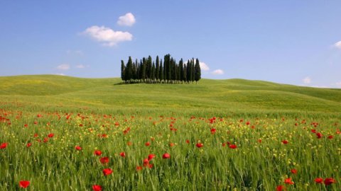 Val d'Orcia: उनतीसवाँ संस्करण Caravaggio की प्रकृति को समर्पित है