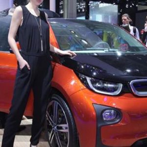 Guvernul, eco-stimulentele auto sunt în derulare