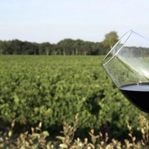Nomisma: export vini italiani, +88% negli ultimi 10 anni
