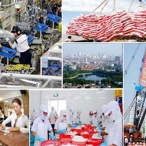 Italia de exportaciones e instituciones en misión a Vietnam