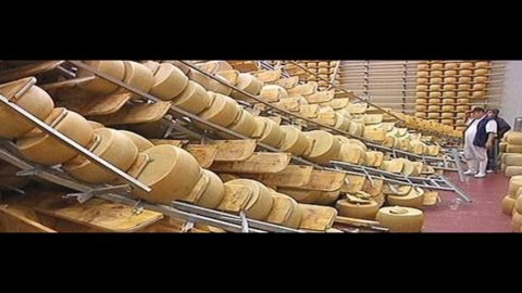 Mps: plafond da 60 mln per esportare in Cina Parmigiano e Grana