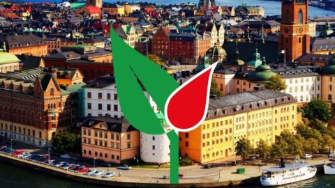 Italeaf, mahasiswa baru Italia di Stockholm: debut di bursa saham pada 4 September