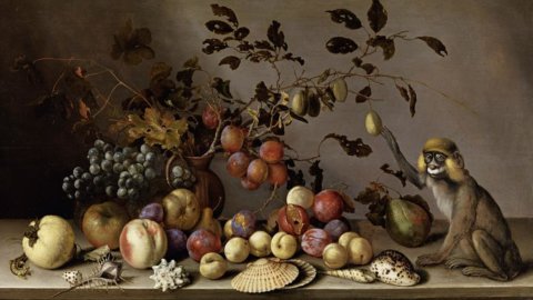 Monaco di Baviera: 350.000 €  per la scimmia di Balthasar van der Ast