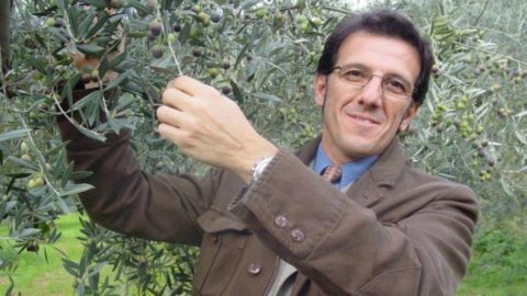 Zefferino Monini: “Ecco come salvo il made in Italy. Ma la Spagna vola e ci ha superato la Tunisia”
