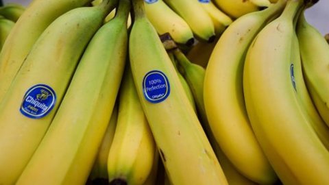 Plátanos: Chiquita vendida a brasileños por 1,3 millones