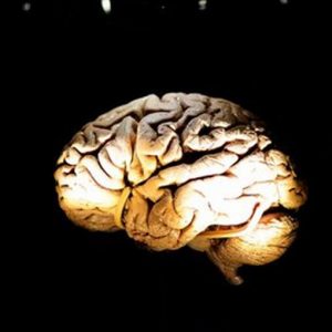La curiosità rallenta l’invecchiamento del cervello: i consigli della scienza
