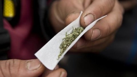 Avustralya'da marihuana halka açılıyor