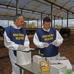 Alimenti, os novos rótulos estão chegando