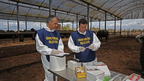 Alimenti, os novos rótulos estão chegando