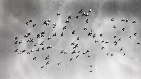 C'EST LA GUERRE! 100 ans de conflits mis en lumière par la photographie