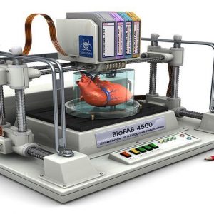 日本、人間の臓器や組織用の 3D プリンター