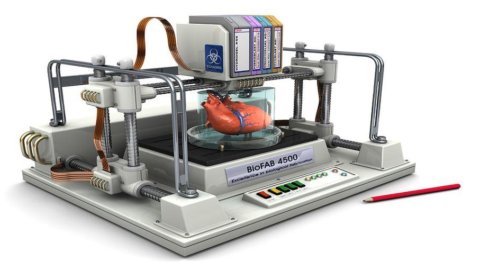 Giappone, stampanti 3D per organi e tessuti umani
