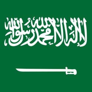 Das Schicksal Saudi-Arabiens nach König Abdullah