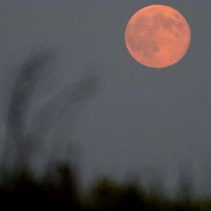 CONGIUNTURA REF – Se un economista tornasse dalla luna, faticherebbe a capire