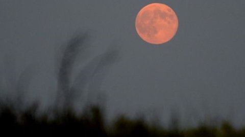 CONGIUNTURA REF – Se un economista tornasse dalla luna, faticherebbe a capire