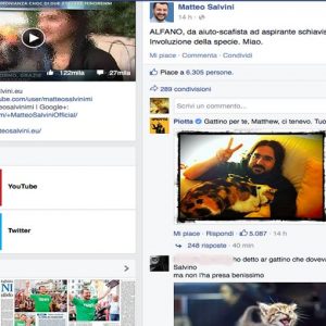 Salvini atacado no Facebook… por gatinhos