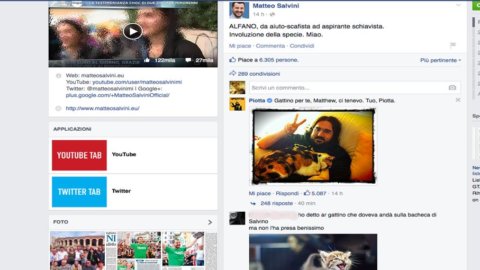 Salvini attaccato su Facebook… dai gattini