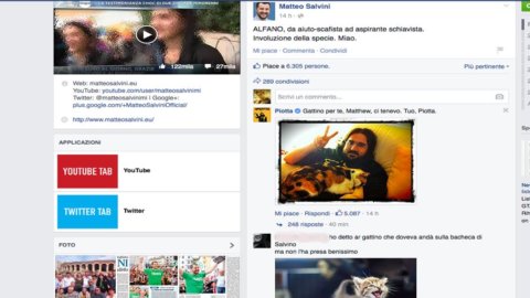 Salvini atacado no Facebook… por gatinhos