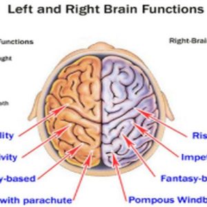 BLOG BY ALESSANDRO FUGNOLI (Kairos) – 債券と株式は異なる目で世界を見る