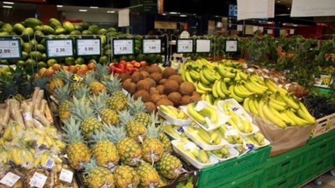 Agroalimentare: export sempre più vitale per l’Italia