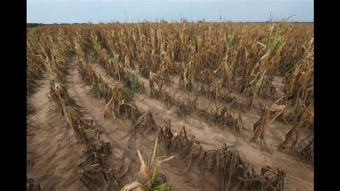 Lloyd's: bolsas correm risco de perder 10% devido a alterações climáticas